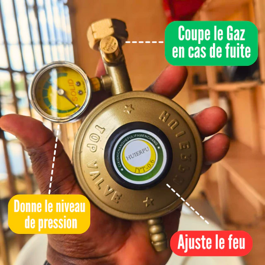 DETENDEUR DE GAZ AVEC MANOMETRE DE SECURITE - GAZ-CONTROL